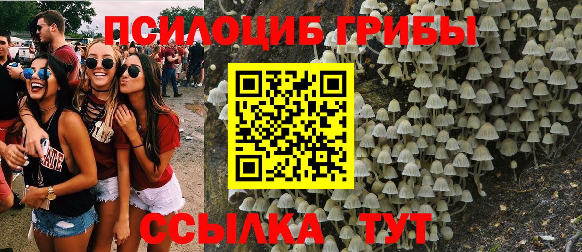 Кохма  Галлюциногенные грибы Psilocybine cubensis  Вход с VPN  Псилоцибиновые грибы Psilocybe 